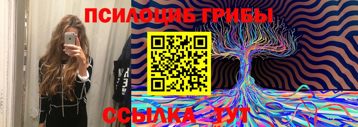 Псилоцибиновые грибы MAGIC MUSHROOMS Москва